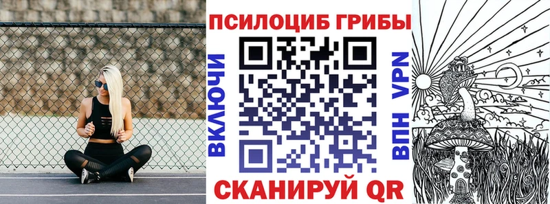 Псилоцибиновые грибы Psilocybine cubensis Волжский