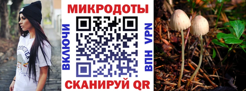 наркошоп  нарко площадка официальный сайт  Псилоцибиновые грибы Cubensis  Волжский  OMG вход 